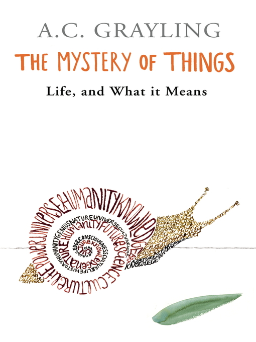 The Mystery of Things (eBook)